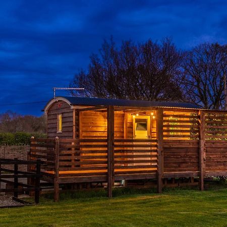 Hillside View Shepherds Hut - Ockeridge Rural Retreats Little Witley 外观 照片